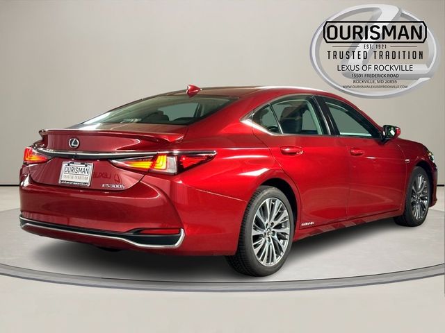 2019 Lexus ES 300h