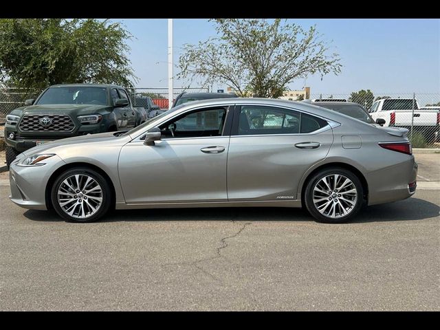 2019 Lexus ES 