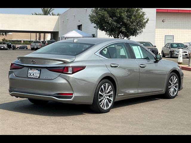 2019 Lexus ES 