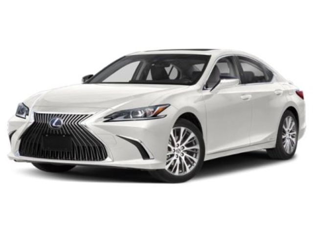 2019 Lexus ES 