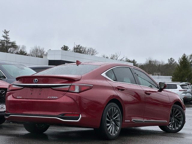 2019 Lexus ES 