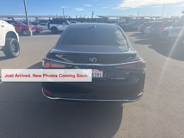 2019 Lexus ES 