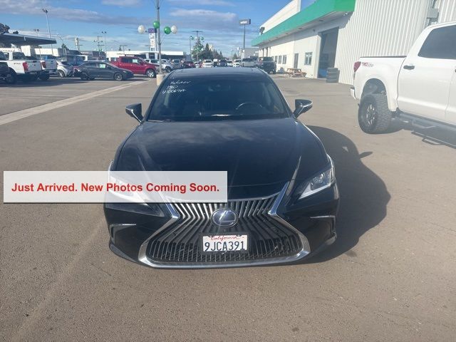 2019 Lexus ES 