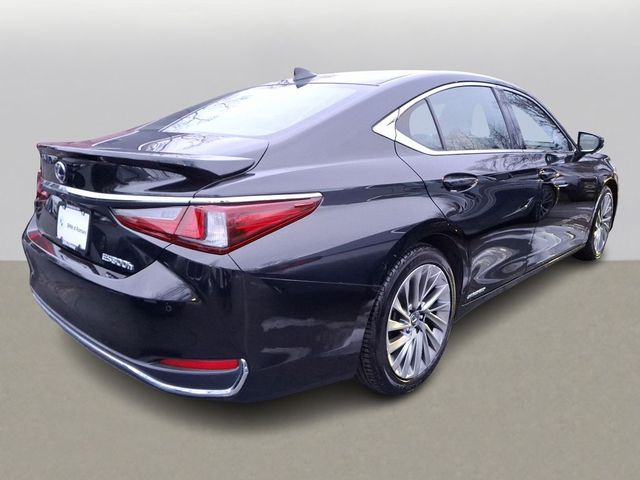 2019 Lexus ES 