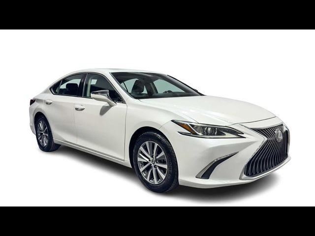 2019 Lexus ES 350