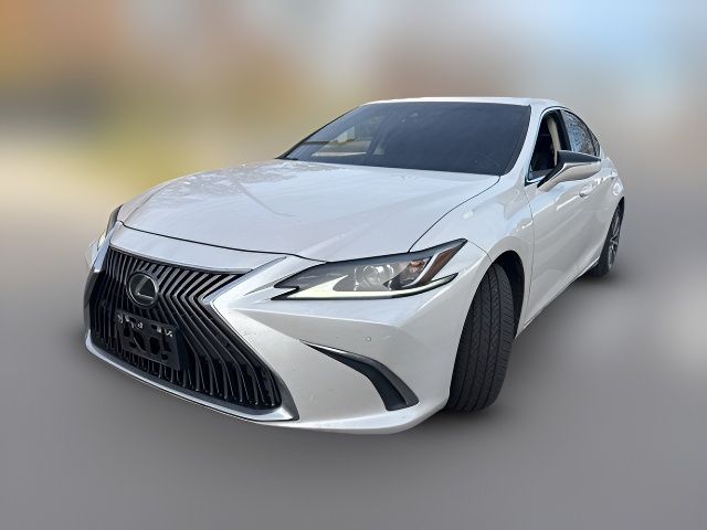2019 Lexus ES 350