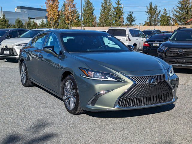 2019 Lexus ES 350