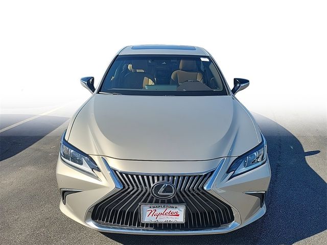 2019 Lexus ES 