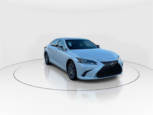 2019 Lexus ES 350