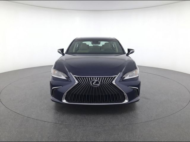 2019 Lexus ES 350
