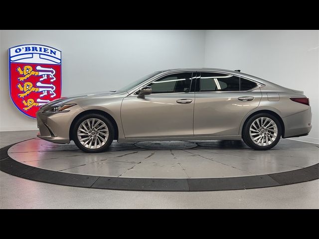 2019 Lexus ES 350