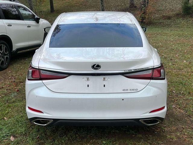 2019 Lexus ES 350