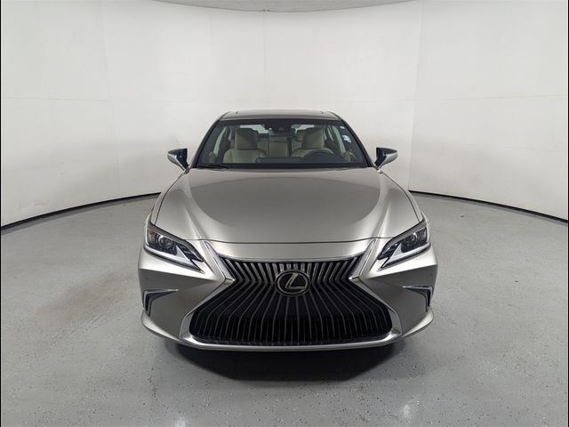 2019 Lexus ES 