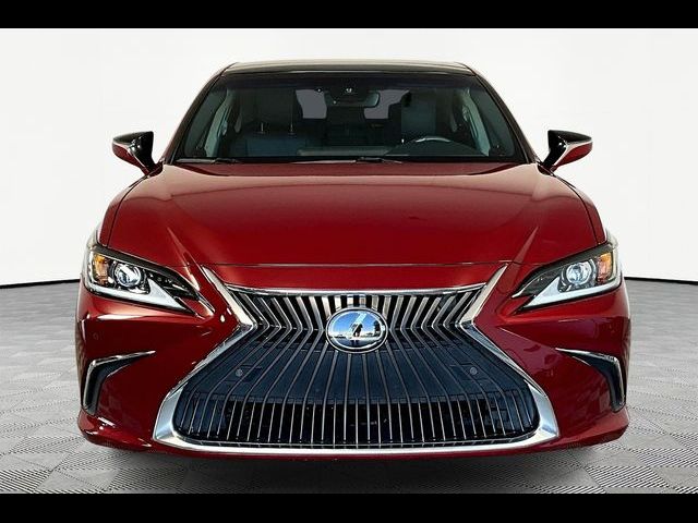 2019 Lexus ES 350