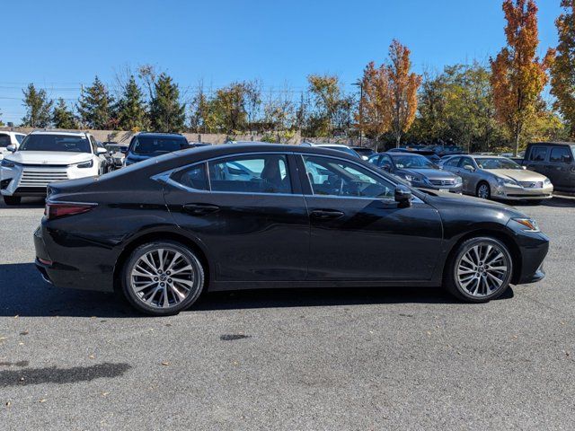 2019 Lexus ES 350