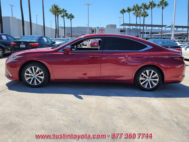 2019 Lexus ES 350