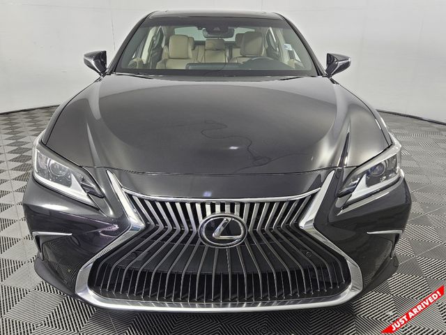 2019 Lexus ES 350