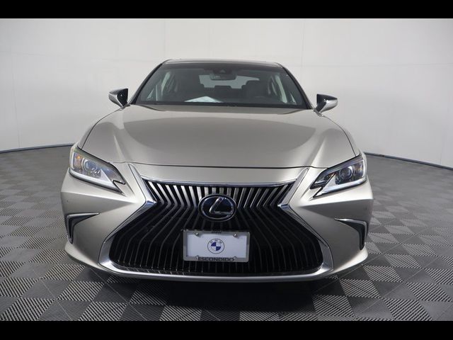 2019 Lexus ES 350 F Sport