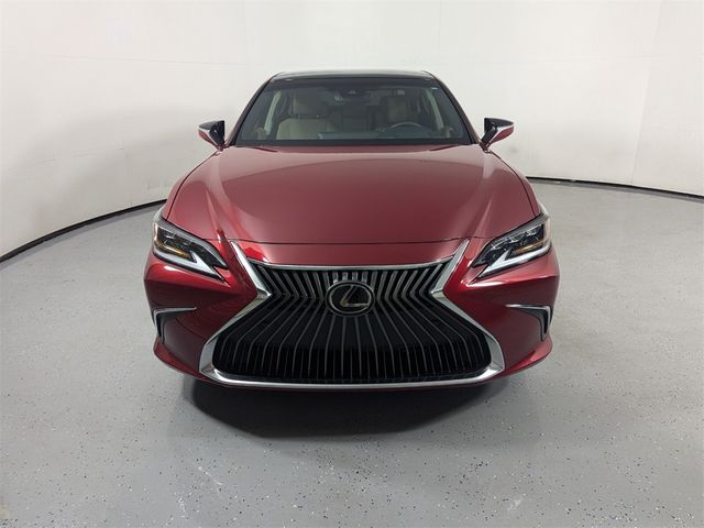 2019 Lexus ES 