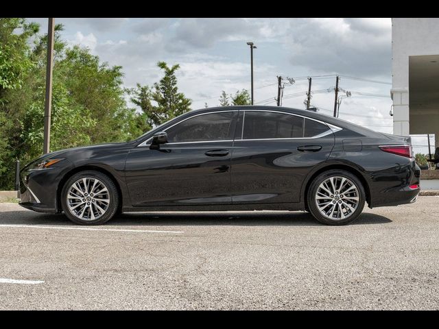 2019 Lexus ES 