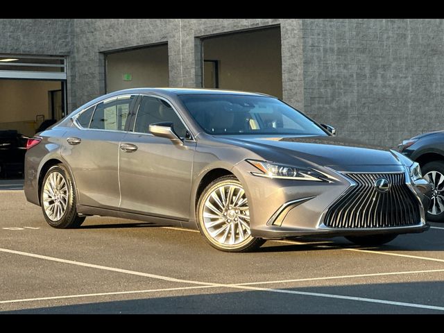 2019 Lexus ES 350 Luxury