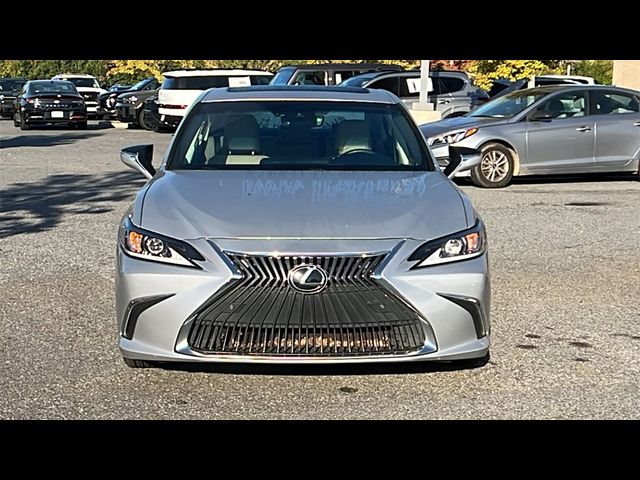 2019 Lexus ES 