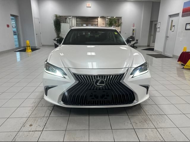 2019 Lexus ES 