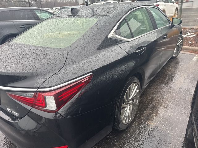 2019 Lexus ES 