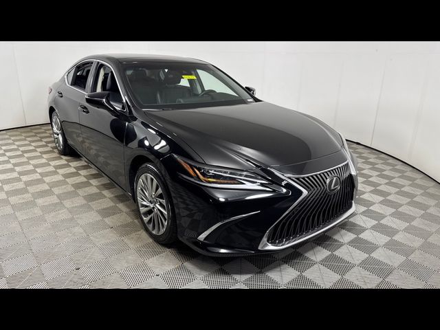 2019 Lexus ES 350 Ultra Luxury