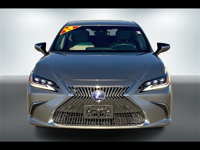 2019 Lexus ES 