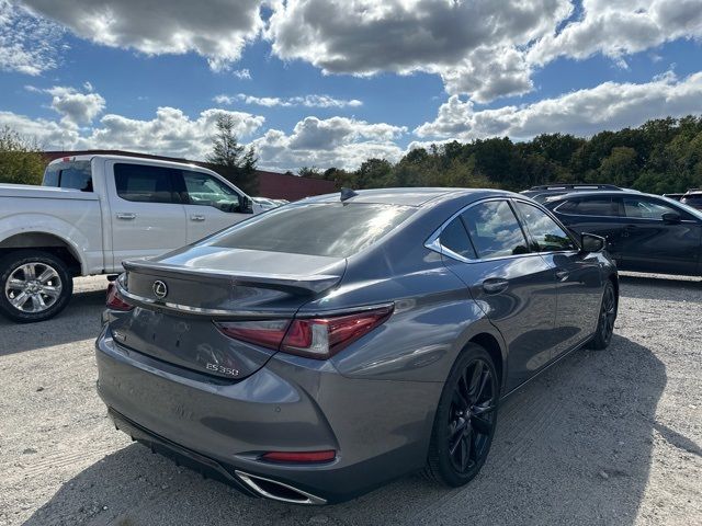 2019 Lexus ES 350 F Sport