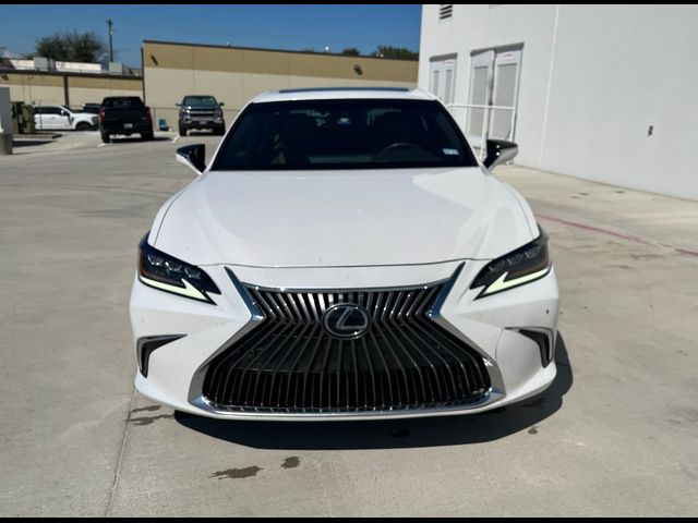 2019 Lexus ES 