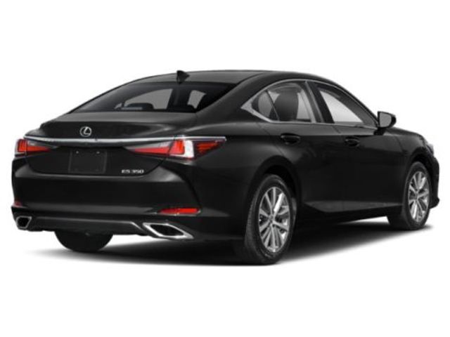 2019 Lexus ES 