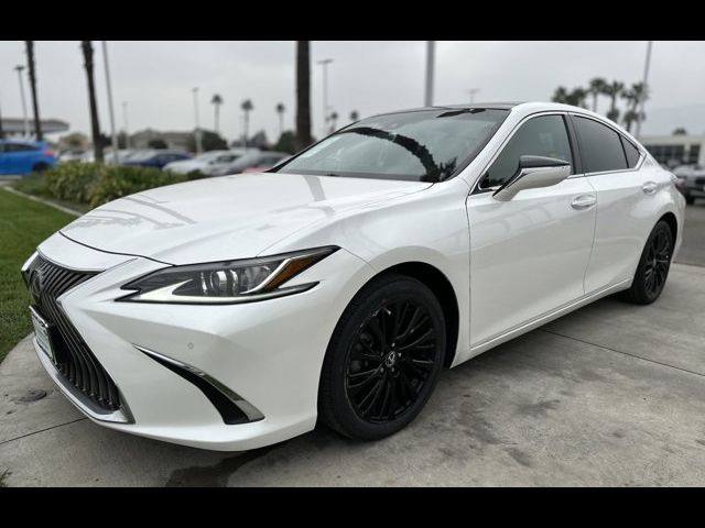 2019 Lexus ES 350 Luxury