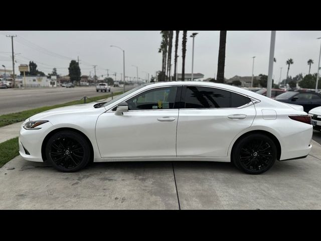 2019 Lexus ES 350 Luxury