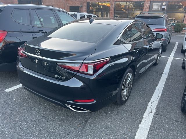 2019 Lexus ES 350 Luxury