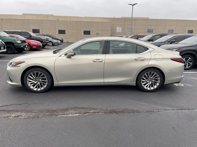 2019 Lexus ES 350 Luxury