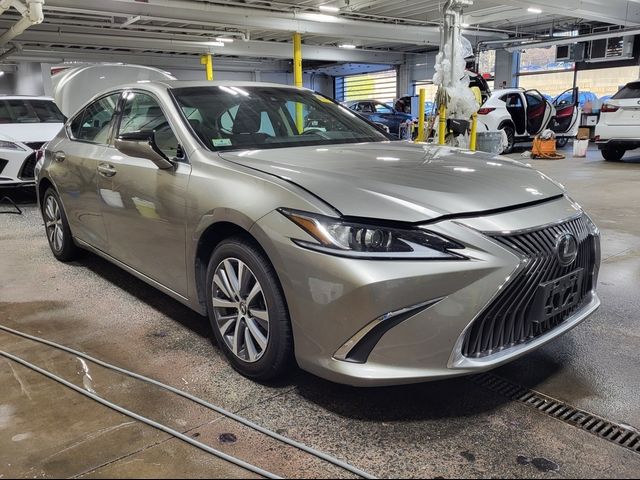 2019 Lexus ES 350