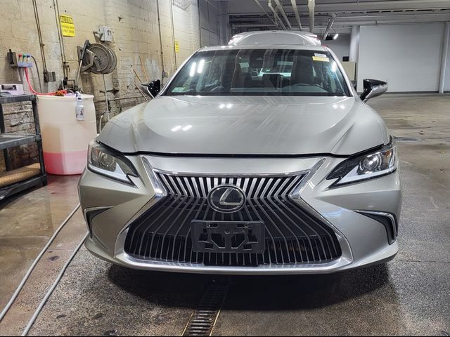 2019 Lexus ES 350