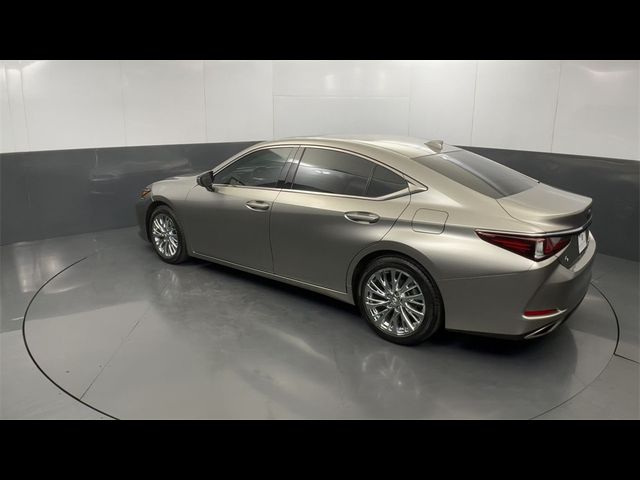 2019 Lexus ES 350