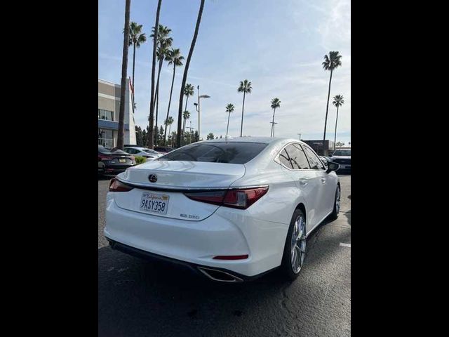 2019 Lexus ES 350