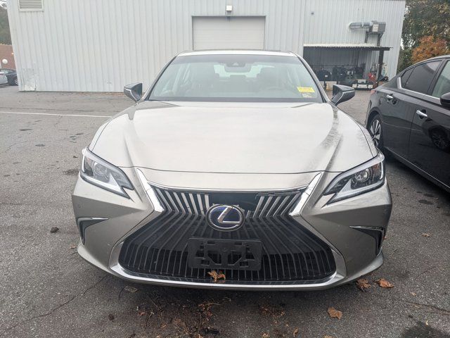 2019 Lexus ES 