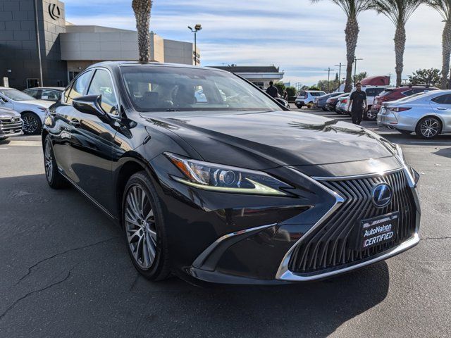 2019 Lexus ES 300h