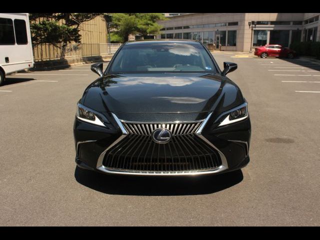 2019 Lexus ES 300h
