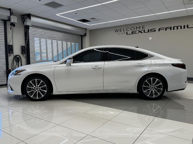 2019 Lexus ES 350