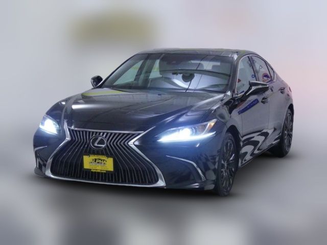 2019 Lexus ES 350