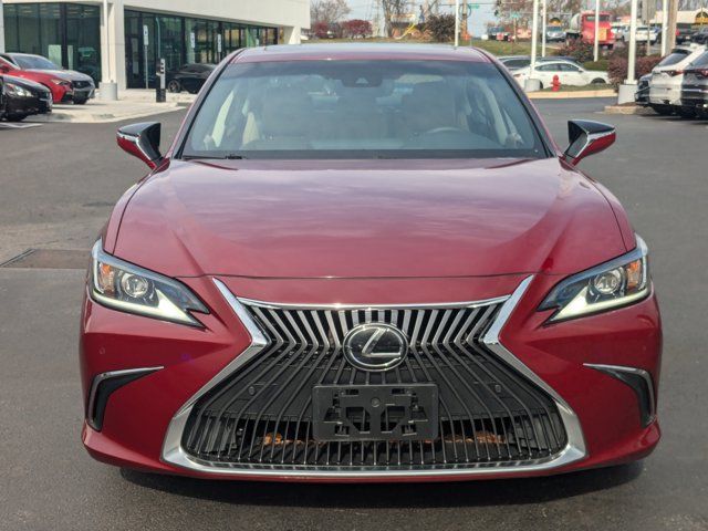 2019 Lexus ES 350