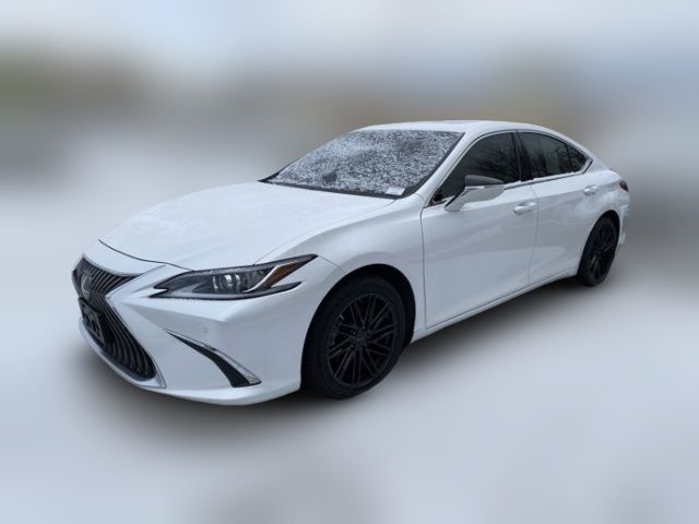 2019 Lexus ES 350