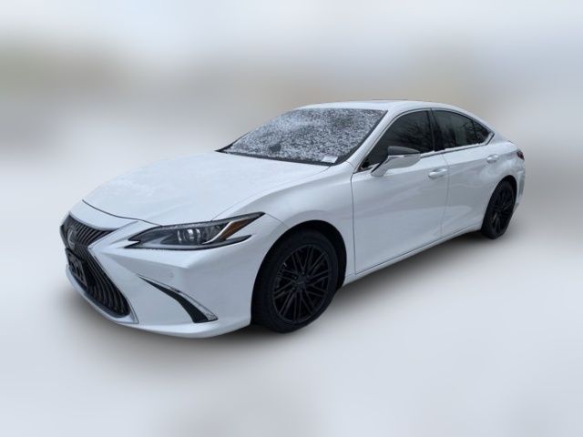 2019 Lexus ES 350