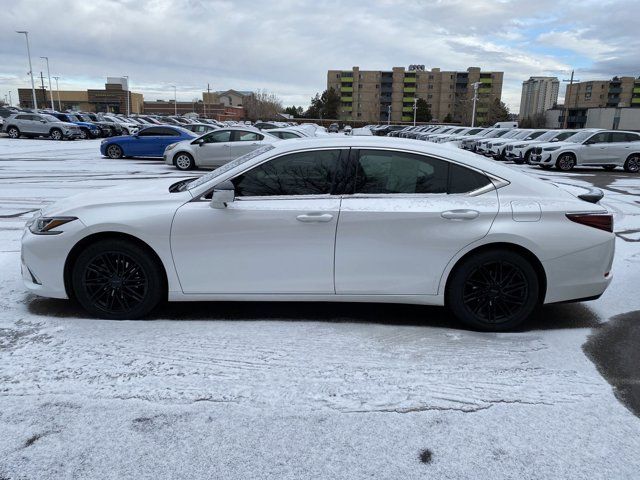 2019 Lexus ES 350